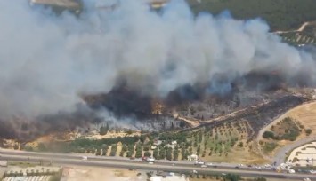 Aliağa Çaltılıdere’de orman yangını: Müdahale devam ediyor