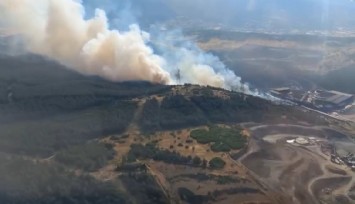 Aliağa’da ormanlık alandaki yangın kontrol altında