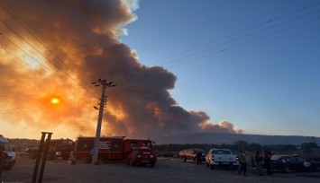 Aliağa ve Foça alev alev: İtfaiye seferber oldu