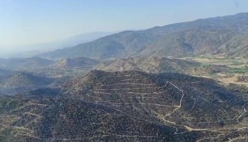 Aydın'da orman yangını gece boyu süren çalışmalarla söndürüldü