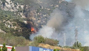 Bakan Yerlikaya: 'İzmir, Bilecik ve Hatay’daki orman yangınlarında 50 binin üzerinde vatandaşımız güvenli bölgelere alındı'