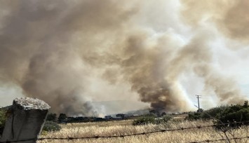 Bornova’daki orman yangını soruşturmasında 2 tutuklama
