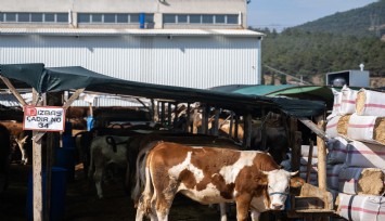 Bornova Kurban Pazarı kapılarını açtı