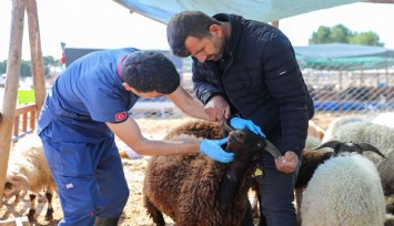 Buca’da Kurban Bayramı öncesi sıkı denetim