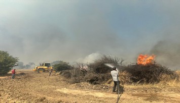 Foça-Aliağa arasında çıkan yangına müdahale sürüyor