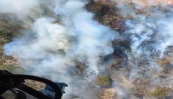 Foça’daki arıcı ormanı kül etti