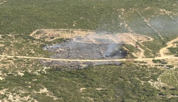 Foça'da orman yangını: Müdahale devam ediyor