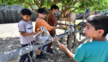 İzmir Doğal Yaşam Parkı bayramda ziyaretçilerini ağırlayacak