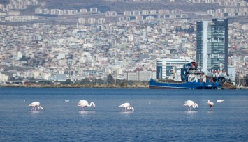 İzmir’in iklim eylemi çalışmaları Avrupa gündeminde