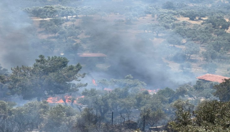 İzmir İtfaiyesi Torbalı, Kınık ve Menderes’teki yangınlara müdahale etti