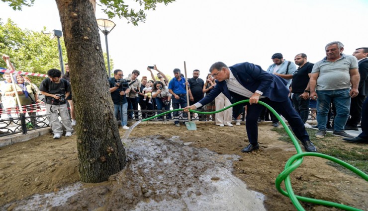 Konak Meydanı’na yeni sembol: Doğu çınarı dikildi