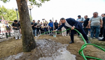 Konak Meydanı’na yeni sembol: Doğu çınarı dikildi