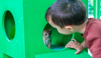 Konak’ta can dostlara özel şenlik: Yeni yuvalarına kavuştular