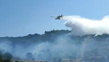 Kuşadası'nda orman yangını