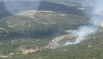 Kütahya'daki orman yangınında 8 dekar alan zarar gördü