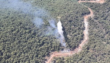 Manisa'daki orman yangını kontrol altına alındı