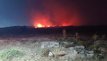 Menemen'de makilik alanda yangın