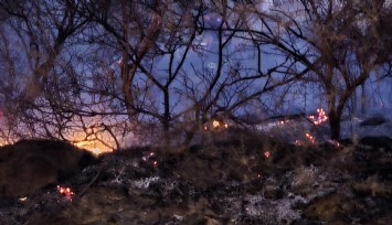 Muğla'da düğün konvoyundan atılan meşale yangın çıkardı