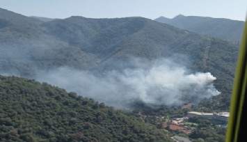 Narlıdere'de orman yangını: Müdahale sürüyor