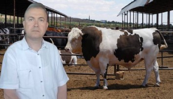 Sattığı kurbanlık dananın fotoğrafını çekerken canından oldu