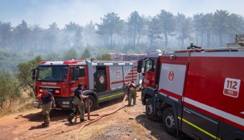 Son 2 gündeki 9 orman yangınından 8'i insan kaynaklı