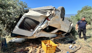 Ticari araç zeytinliğe uçtu: 1 ölü