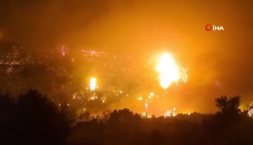 Yunanistan’ın Sakız Adası’nda orman yangını: Köyler tahliye edildi