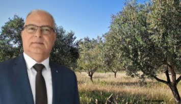 ZMO İzmir Şube Başkanı Çakıcı’dan zeytin alanlarının katliamına tepki: Halkın gıdaya erişimi tehdit altında