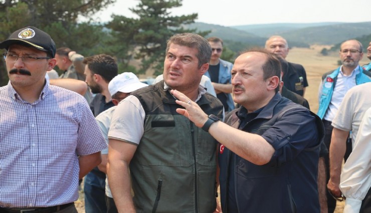 AFAD: 'Yangınlara karşı mücadele kapsamında 4 bin 231 personel, 45 hava aracı ve bin 236 kara aracı görev yapmaktadır'