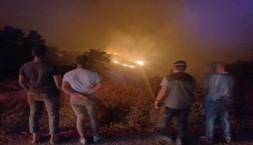 Ahmetli'de çıkan orman yangını Salihli'ye ulaştı