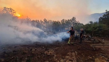 Akhisar’daki orman yangını kontrol altında