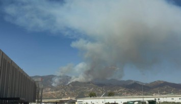 Aydın'daki yangına 7 hava aracı, 244 personel müdahale etti: Kontrol altına alındı