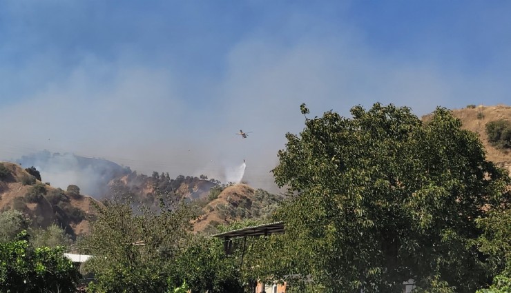 Aydın Valisi Canbolat: 'Ekipler çevreyi sardı, kısa sürede kontrol altına alacağız'