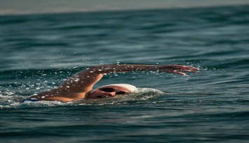Bengisu Avcı Kuzey Kanalı'nda