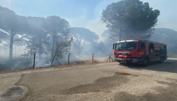 Bergama’da orman yangınına müdahale ediliyor