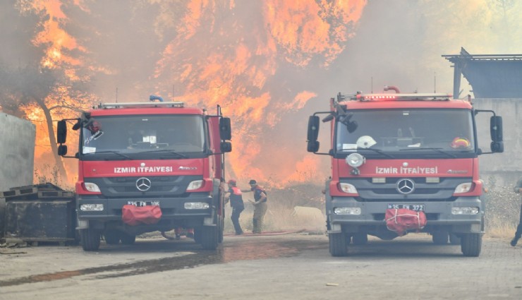 Bornova'da yangınla mücadele sürüyor: Trafik kapatıldı, barınaklar için önlemler alındı