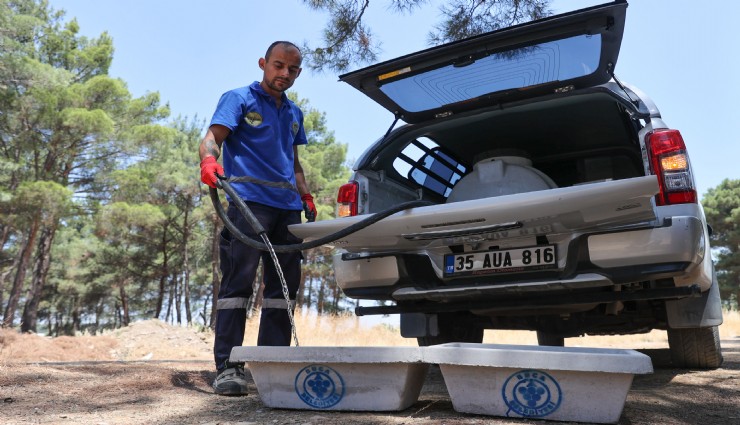 Buca Belediyesi’nden can dostları için hayati hamle
