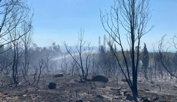 Buca’daki orman yangını kontrol altında