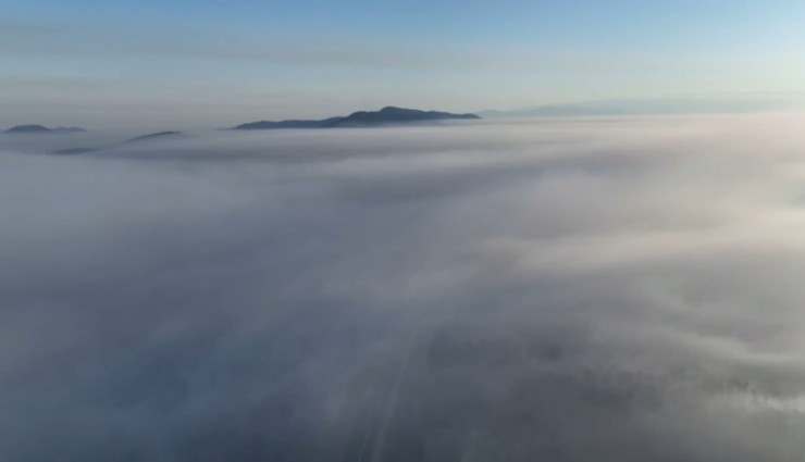 Bursa'daki orman yangını 3. gününde: Gökyüzünü kaplayan duman bulutundan göz gözü görmüyor