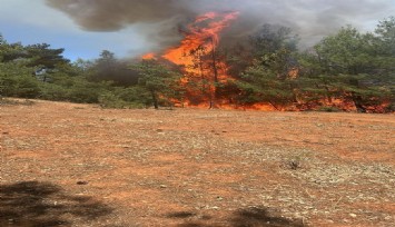 Denizli'de saman basma makinasından başlayan yangın kısa sürede kontrol altına alındı