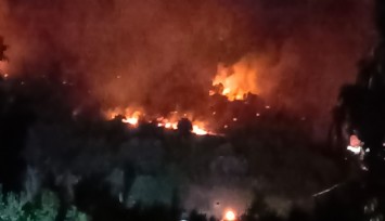 Dikili’de orman yangını: Çanakkale yolu ulaşıma kapatıldı