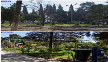 Fırat Yılmaz Çakıroğlu Parkı küllerinden doğdu