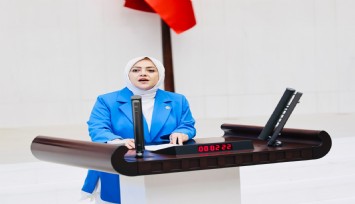 Gelecek Partisi Denizli Milletvekili Ün: 'Dün sözde iklim, bugün zeytinlik yasası; bir el düğmeye bastı'