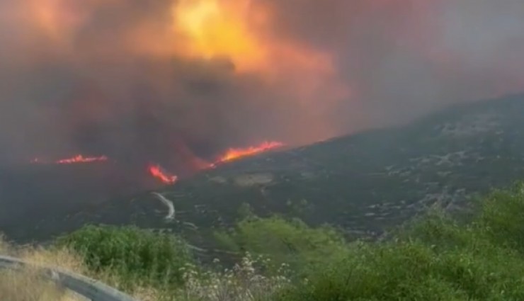Güney Kıbrıs’taki orman yangınında can kaybı 2’ye çıktı