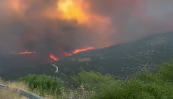 Güney Kıbrıs’taki orman yangınında can kaybı 2’ye çıktı
