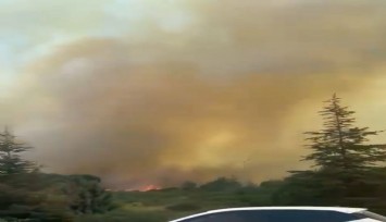 İzmir yanıyor: Buca Kaynaklar'da yangın yolu kapattı