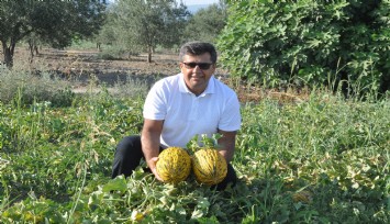 Kırkağaç Kavunu AB’den tescil alan 38. ürün oldu