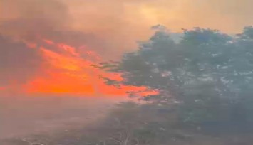 Manisa'da orman yangınları