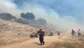 Manisa'daki orman yangını kontrol altına alındı