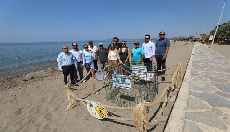 Menderes’te caretta caretta heyecanı